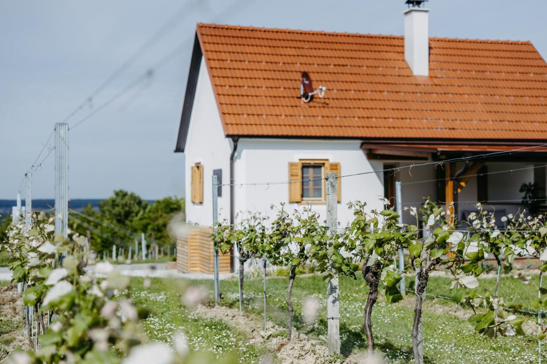 Urlaub Im Kellerstoeckl Dunst Apartamento Strem Quarto foto