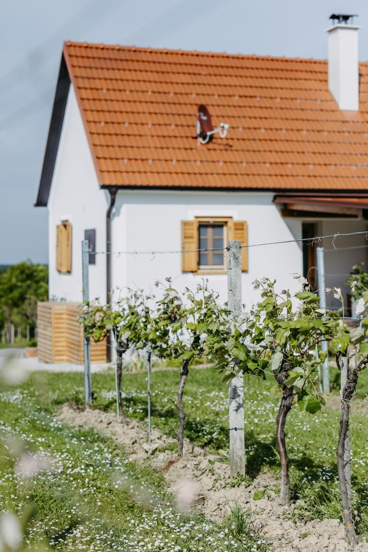 Urlaub Im Kellerstoeckl Dunst Apartamento Strem Quarto foto
